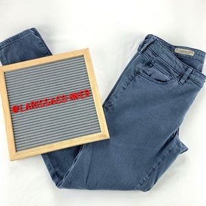 AG Super Skinny “the Legging Ankle” Jeans Size 29